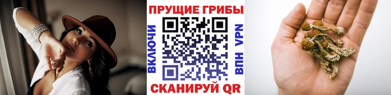 Галлюциногенные грибы MAGIC MUSHROOMS  это как зайти  mega ТОР  Черкесск  где можно купить наркотик 